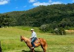 MCE EQUINE – breakers, handling and spelling/agistment