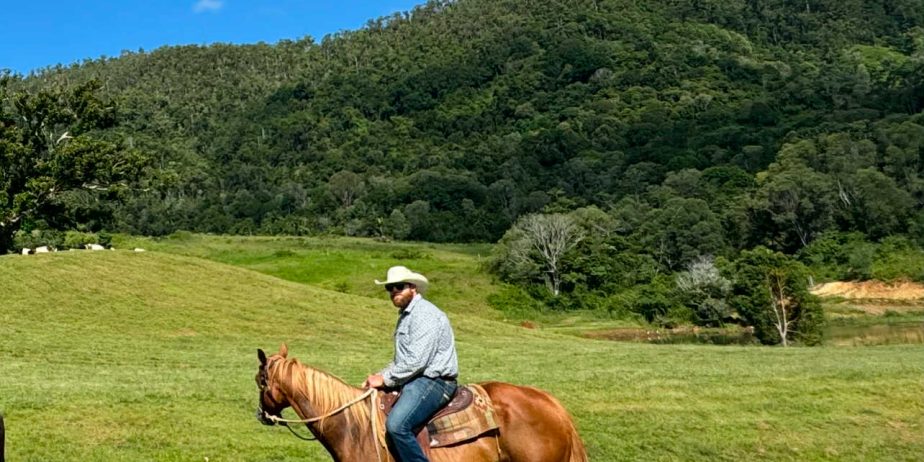 MCE EQUINE – breakers, handling and spelling/agistment