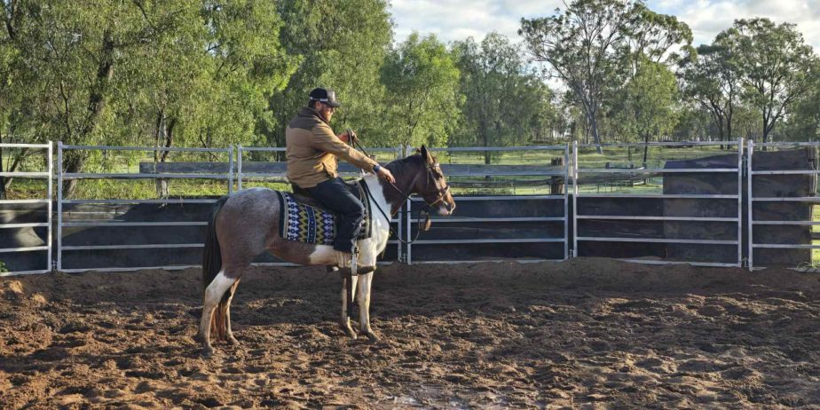 MCE EQUINE – breakers, handling and spelling/agistment