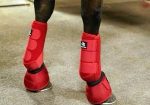 J5 Equine Australia