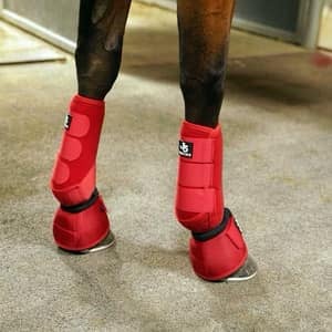 J5 Equine Australia