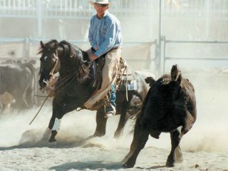 acres_destiny_richard_bull_2009
