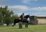 MCE EQUINE – breakers, handling and spelling/agistment