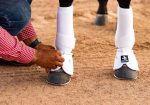 J5 Equine Australia